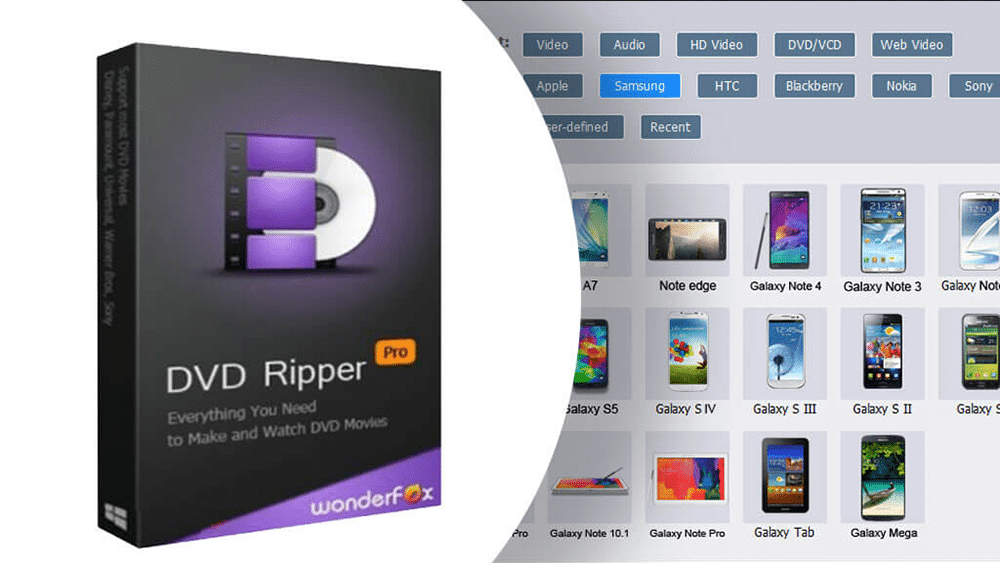 Download WonderFox DVD Ripper Pro 20.6 Crack + License Key