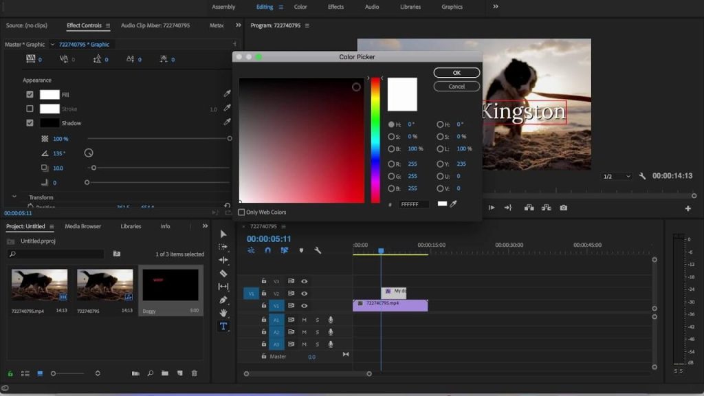 Adobe Premiere Pro CC 2018 Torrent