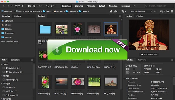Adobe bridge 2024 free download for windows 7
