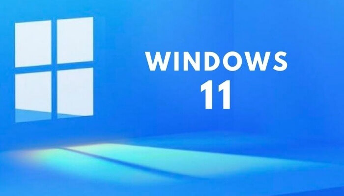 Windows 11 Permanent Activator